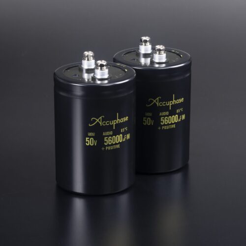 Bild 13 Zwei Audio-Kondensatoren