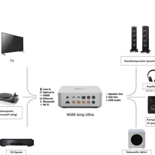 WiiM Amp Ultra Anschlussübersicht