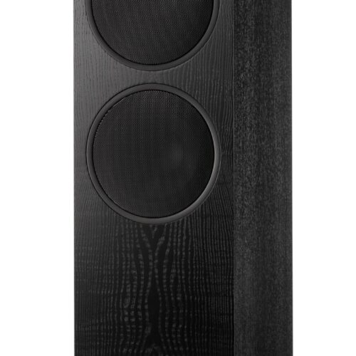 Schwarzer Standlautsprecher mit zwei Treibern