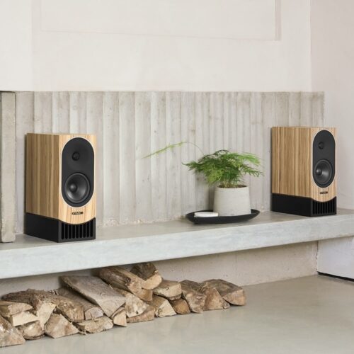 Holzlautsprecher mit Pflanze und Holz